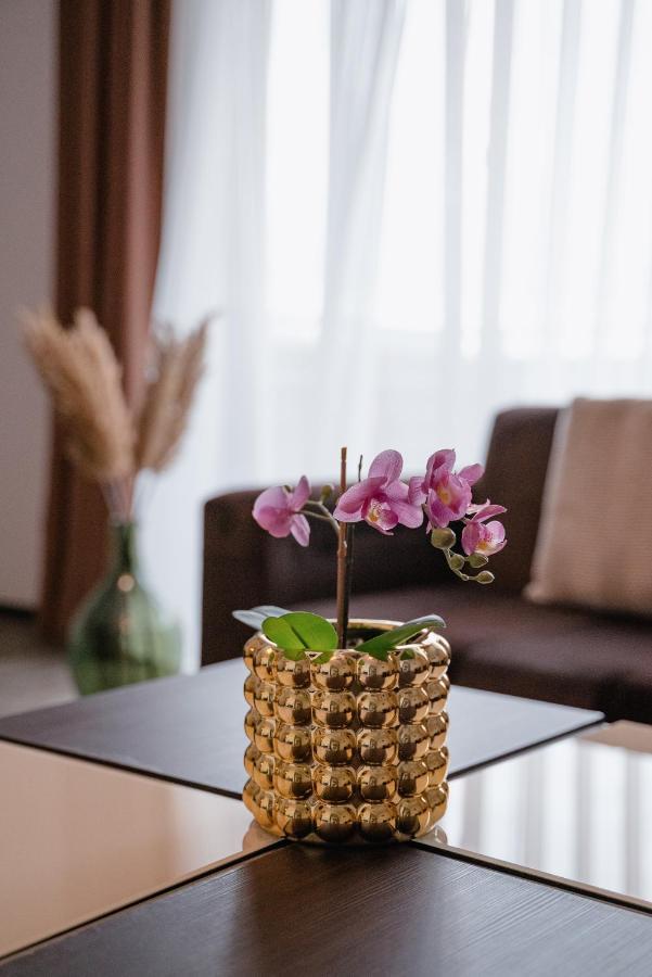 Silver Mountain Resort & Spa โปยานาบราซอฟ ภายนอก รูปภาพ