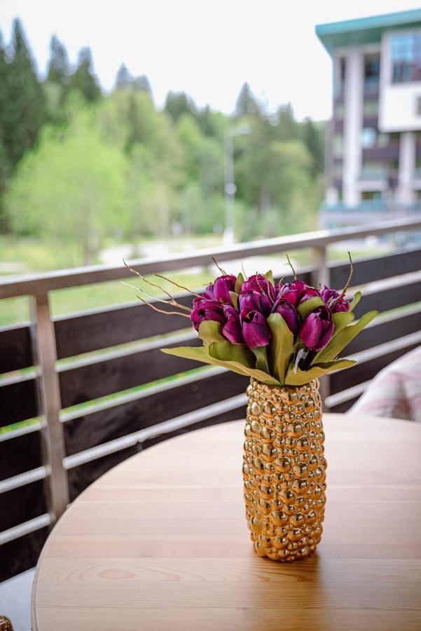 Silver Mountain Resort & Spa โปยานาบราซอฟ ภายนอก รูปภาพ